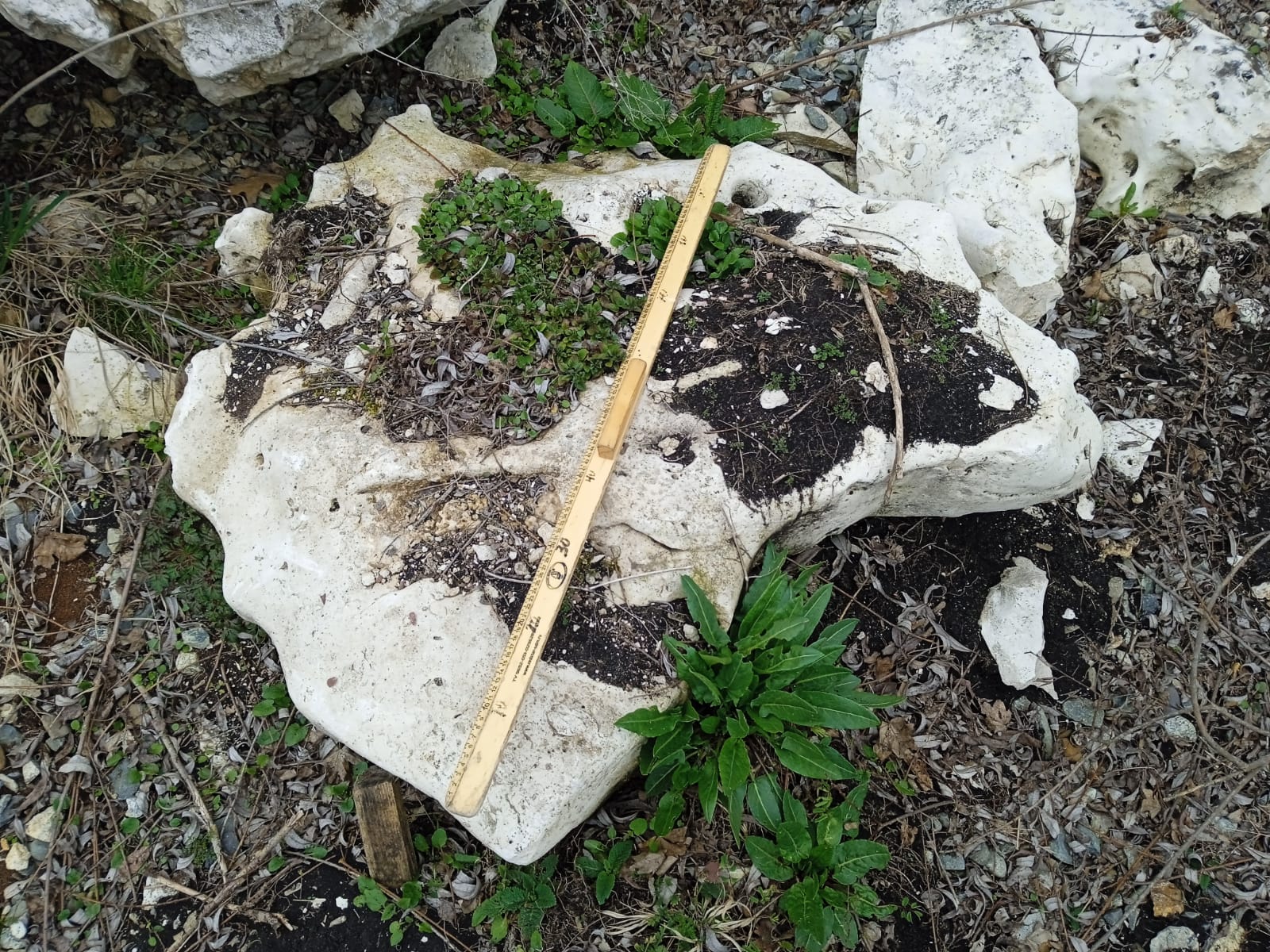  Выветренный известняк (степной) фр. 500-1500 мм.  купить в Краснодаре    8 500 руб/т   фото 