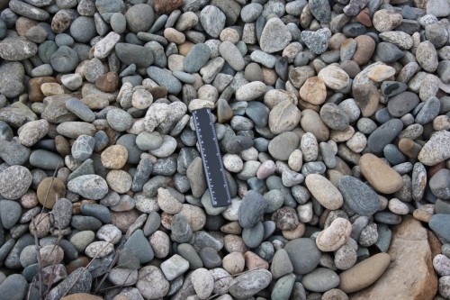  Галька речная окат (пестрая) фр. 20-40 мм. купить   в Краснодаре галька речная пестрая, серая, серые оттенки галька речная окатанная округлая 4000 руб/т   фото 