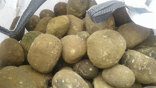  Песчаник ядра, фр. 100-300 мм  купить в Краснодаре песчаник бежевый серый рыжий речная галька 5 000 руб/т   фото 