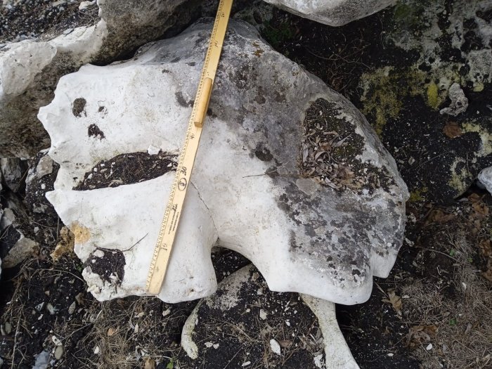 Выветренный известняк со мхом фр. 100-500 мм.  купить в Краснодаре известняк серый белый зеленый валун известняковый крупный 7 500 руб/т   фото 