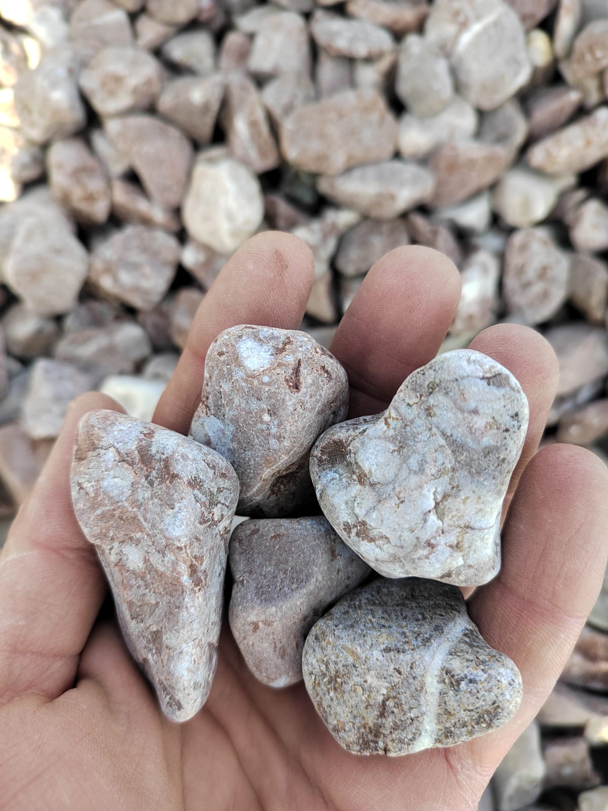  Розовая галька (щебень галтованный розовый) фр.20-40 мм.  купить  в Краснодаре мрамор розовый, красный оголтованный округлый щебень  13500 руб/т   фото 