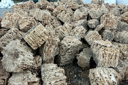  Крымский природный меотис фр. 100-500 мм.  купить в Краснодаре меотис бежевый рыжий молочный желтый ракушечник 4 500 руб/т   фото 