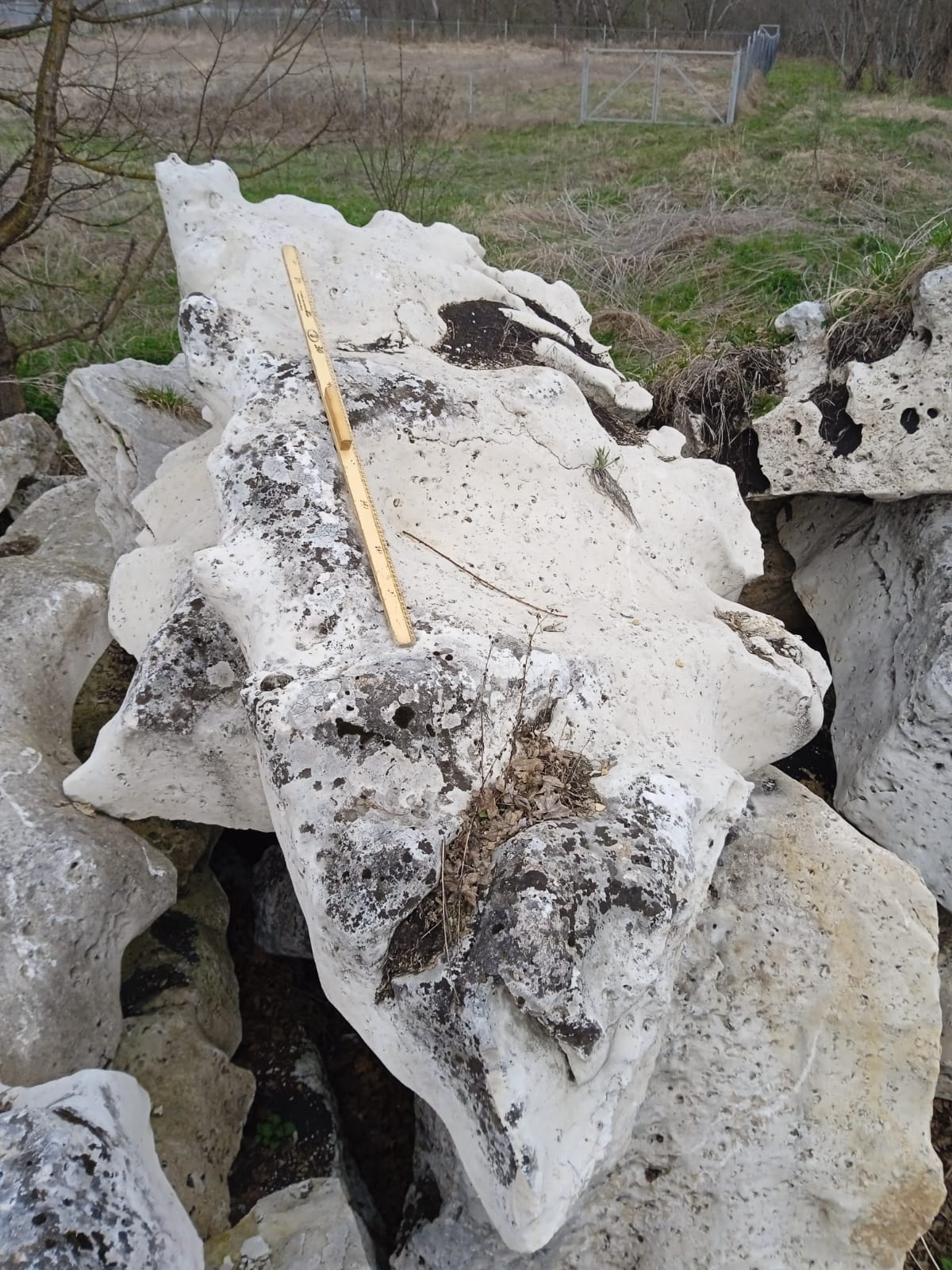  Выветренный известняк со мхом фр. 100-500 мм.  купить в Краснодаре известняк серый белый зеленый валун известняковый крупный 7 500 руб/т   фото 