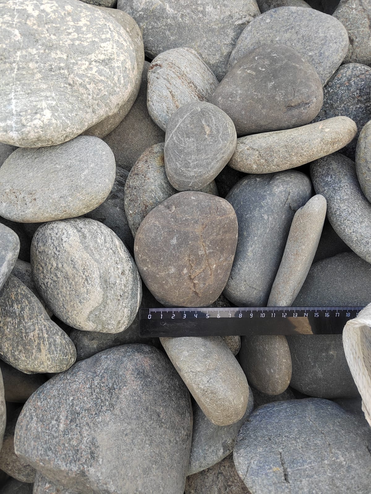 Kamenclub.ru: Галька речная плоская (ассорти) фр. 70-150 мм. купить   в  Краснодарегалька галечник серый белый темно-серый синий светло-серый плоская природная галька  6200 руб/т   фото КАМЕНЬ КЛУБ