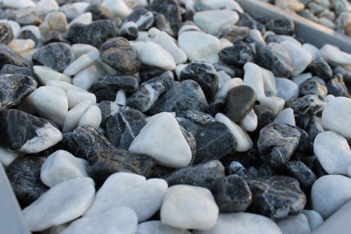  Микс шахматной гальки  (щебень галтованный микс:: белый-черный) фр.20-40 мм  купить  в Краснодаре мрамор белый, черный мраморный галтованный щебень 14500 руб/т   фото 