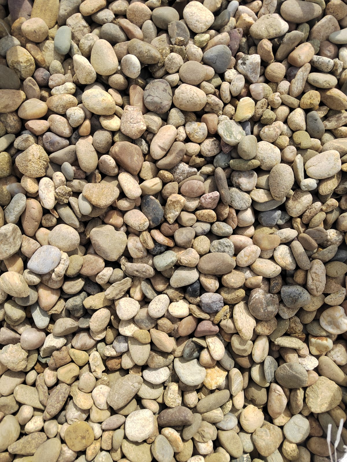  Галька речная окат рыжая фр. 20-40 мм. купить   в Краснодаре галька речная окатанная рыжая желтая серая округлая речная галька 4000 руб/т   фото 